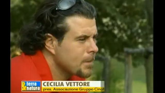 Spot Televisivo Gruppo Cinofilo Verona Onlus смотреть онлайн