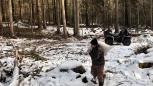 Солонец для лося , оленя