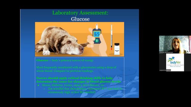 Veterinary Continued Education | Kirby's Rule Of 20