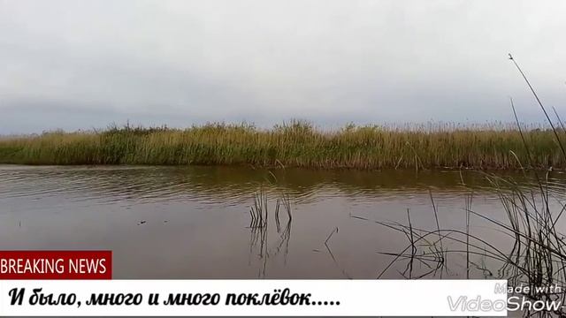 Ловля карася в Тамбовской области смотреть онлайн