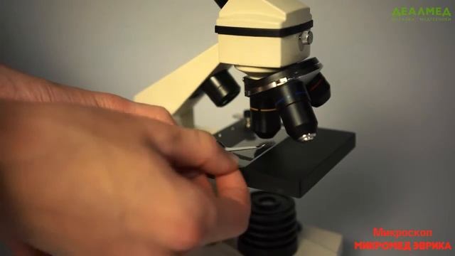 Микроскоп учебный Эврика 40х 1280х с видеоокуляром в кейсе смотреть онлайн