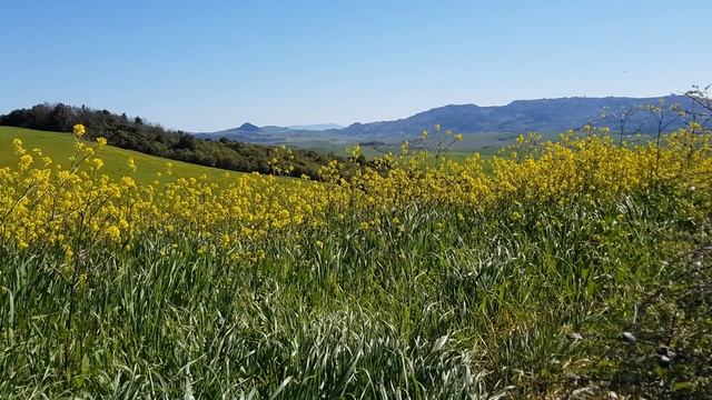 ДУХОВНЫЕ НАСТАВЛЕНИЯ СТАРЦА ЕФРЕМА АРИЗОНСКОГО..mp4 смотреть онлайн