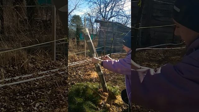 Как укрывать плодовые деревья на зиму смотреть онлайн
