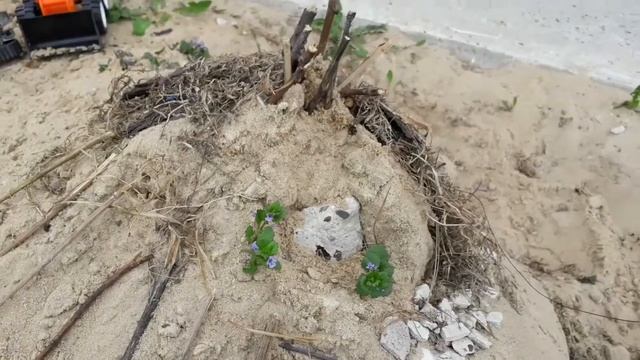 Строим дом из песка смотреть онлайн