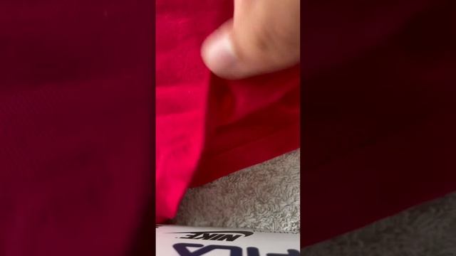 Трусы мужские #рекомендации #рек #tiktok #calvinklein #lacoste #tommyhilfiger #adidas #трусы смотреть онлайн