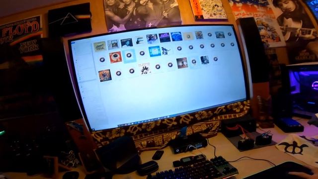 The Best Dynamic Driver Earphones? DUNU ZEN (禪) REVIEW  (1/DD)