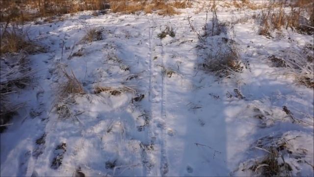 Вторая зима в бытовке/Замерзла вода/Ламинат/Через наш участок бегают дикие звери смотреть онлайн