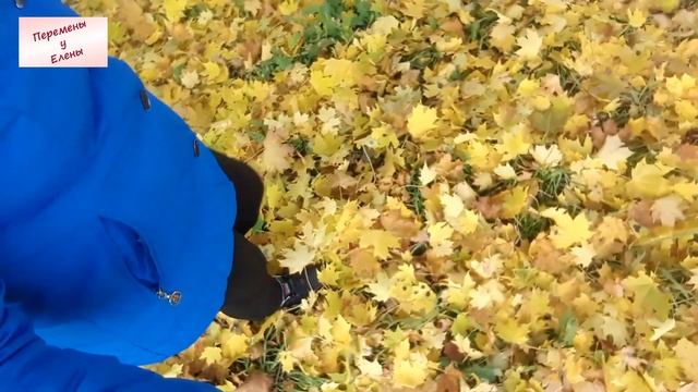 Осенний хор смотреть онлайн