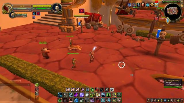 NeatPlates / Nameplates setup guide for my Survival Hunter (WoW 9.2.7) смотреть онлайн