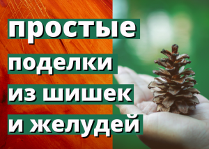 поделки из шишек и желудей.MP4