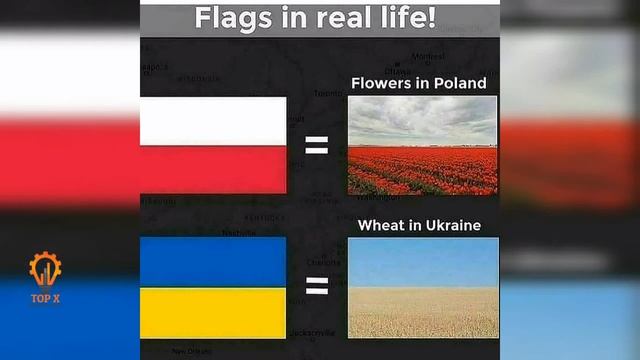 возраст в природе | Flags In Nature _ Beautiful Country's Flags | Флаги красивых стран