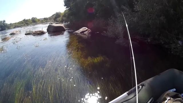 День рождения на рыбалке. Ловля окуня, голавля и жереха на спиннинг смотреть онлайн