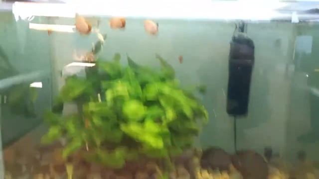 Строительные Консультации