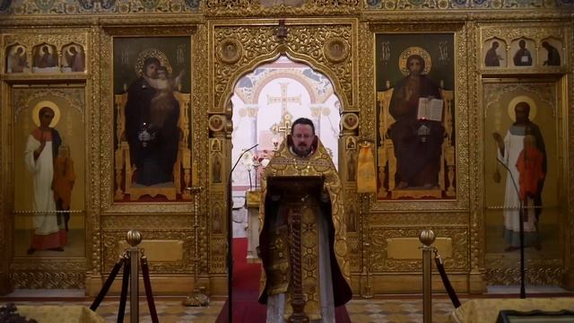 11.07.2021 Проповедь о. Радослава на литургии. Иконы Божией Матери, «Троеручица» смотреть онлайн