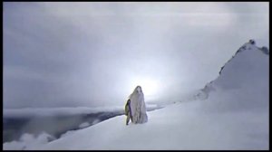 Птица 2027 - Откуда Взялся Мем?