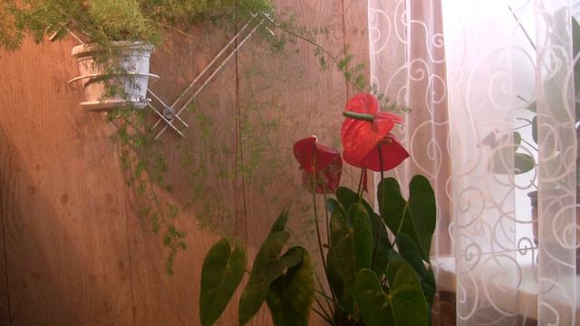 Фильмы- которые стоит посмотреть всем женщинам! смотреть онлайн