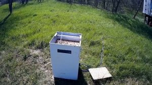 Поилка с подогревом/ Терен и алыча цветут, а мы подогреваем воду для пчёл