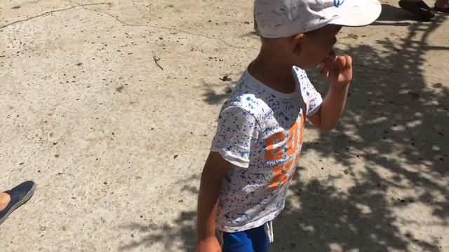 Ялта зоопарк 3 смотреть онлайн