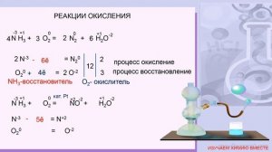 ОГЭ/химические свойства аммиака/химия-9