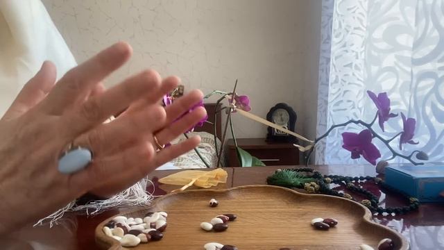 [ГАДАНИЕ НА БОБАХ] Какое место занимает любовь в моей жизни смотреть онлайн