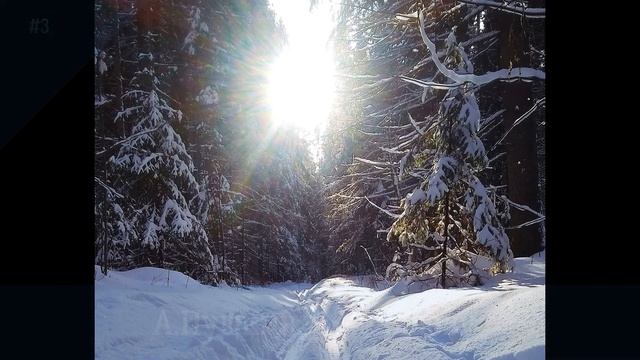 3 А Пушкин К Чаадаеву #гражданскаяпоэзия #поэты19века смотреть онлайн