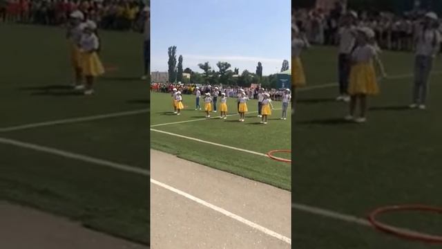 Солнце и его планеты