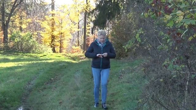 Наш осенний лес. Burg Strassberg / Our autumn forest forest. Castle of Strassberg. смотреть онлайн