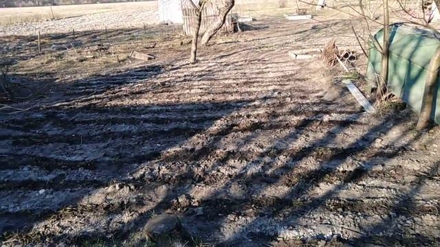 Первая подкормка клубники, земляники и часныка. смотреть онлайн