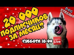 DOGSTREAM: 20.000 ПОДПИСЧИКОВ ЗА МЕСЯЦ! КАПЕЕЕЦ!!! Говорящая собака