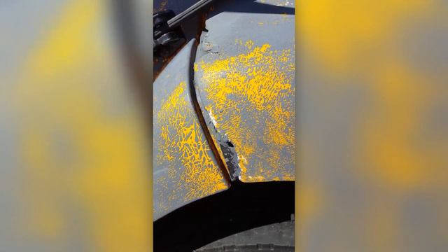 Day 6 - School Bus to Buck & What We Found Lurking Beneath...(Skoolie Conversion/Remodel) смотреть онлайн