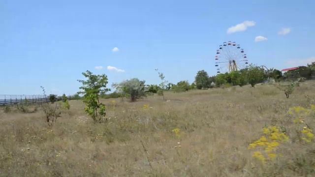 Малыш "МИЛЕЙШИЙ ЛЕВ "! смотреть онлайн