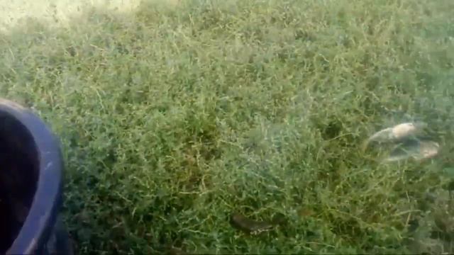 Улов И Раздача Рыбы смотреть онлайн