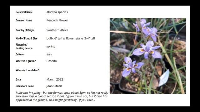 April 2022 Plant Forum смотреть онлайн