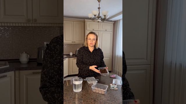 Как правильно посеять семена пеларгонии?🌷 смотреть онлайн