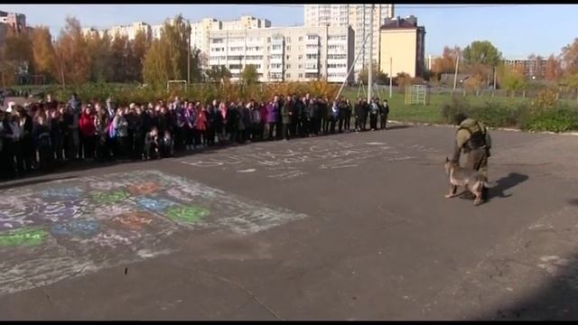 Полицейские провели показательные выступления для ярославских школьников смотреть онлайн