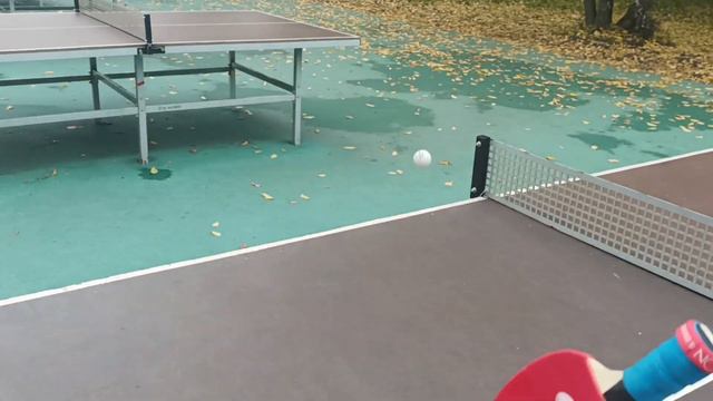 Татьяна тестирует мини ракетку Черкизовский парк настольный теннис 30.09.22 смотреть онлайн