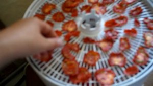 Как сушить помидоры в сушилке Белома.