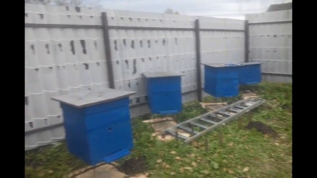 Секрет разведения пчел.Как выбрать место под пасеку.Как начать разводить пчел смотреть онлайн