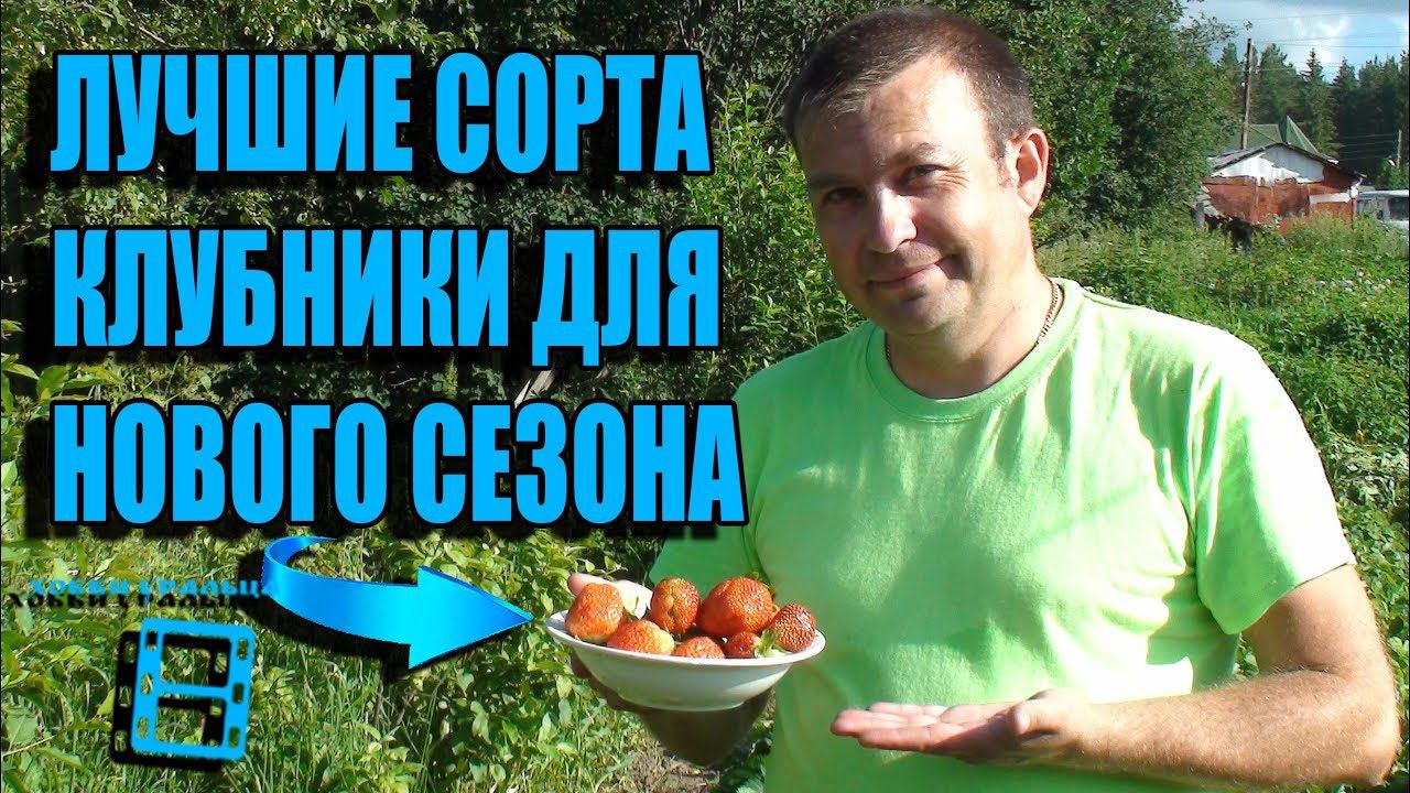 СУПЕР СОРТА КЛУБНИКИ (ЗЕМЛЯНИКИ САДОВОЙ) ДЛЯ ПОСАДКИ В НОВОМ СЕЗОНЕ. САД (ОГОРОД) И ТЕПЛИЦА смотреть онлайн
