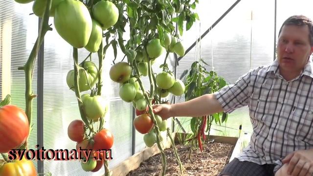 Неразлучные сердца смотреть онлайн