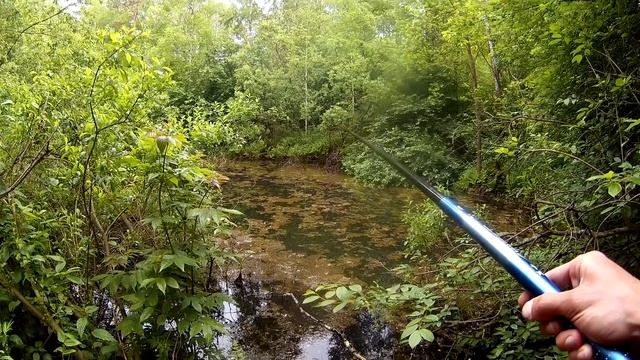 Рыбалка в самом загадочном озере Екатеринбурга 21/06/2018 смотреть онлайн