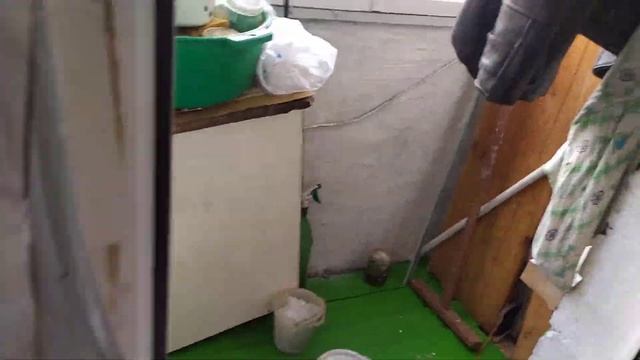 синицы залетают на балкон 16.10.2023 смотреть онлайн