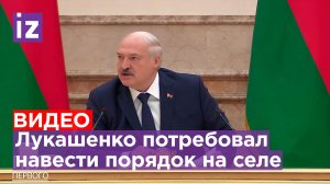 «Я с вас шкуру сорву, но вы наведете там порядок!» - Лукашенко разнес губернаторов / Известия