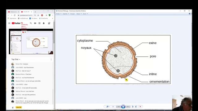 COURS SPE SVT TS 28/05/2020 смотреть онлайн