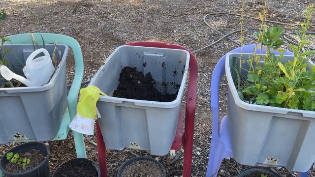 Chair Garden COMPOST in PLACE all GONE & SO are My WORMS * No Bending Raised Bed Vegetable Gardenin смотреть онлайн