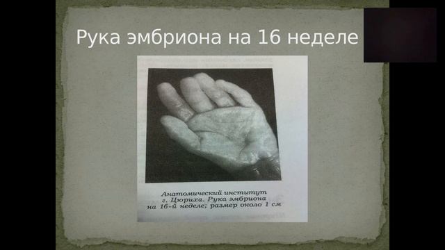 Коррекционная хиромантия. Открытая лекция смотреть онлайн