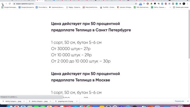 Сборка одноэкранного сайта на Tilda смотреть онлайн