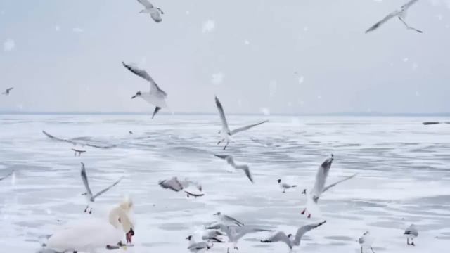 12 января: Самый плодотворный день недели. Медитация "Взгляд из высоты. Разрешение проблем" смотреть онлайн