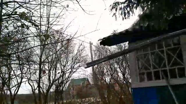 Рой комаров в зимнее время! Чудо природы! смотреть онлайн