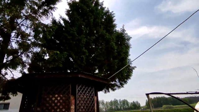 Чистый двор - мотивация // нужна ли ëлка во дворе - Ваше мнение //напугалась ?/ смотреть онлайн